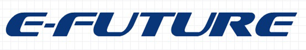 E-FUTURE